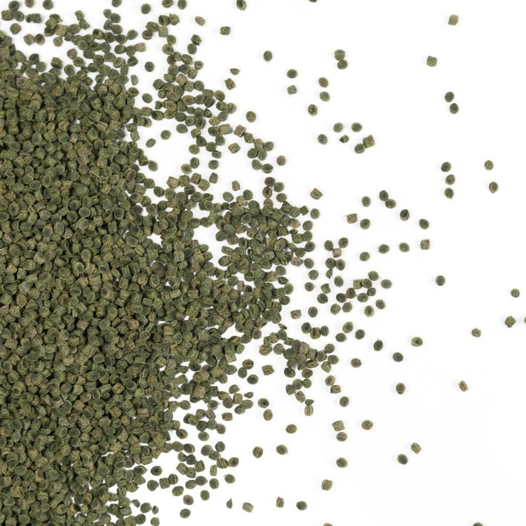 Biomaterial Algas